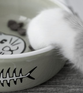 Cat paw